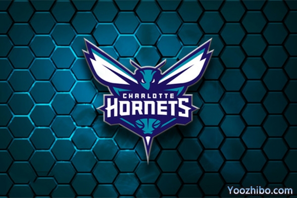 2019-2020赛季<a href=/lanqiuzhoubian/hornets/ target=_blank class=infotextkey>黄蜂</a>队队徽